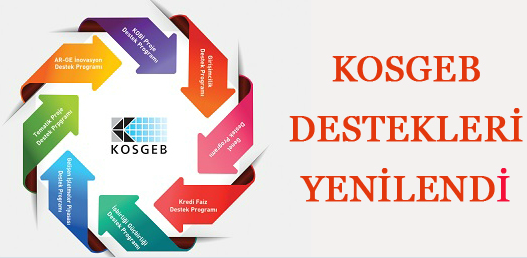 Kadın ve Erkekler için Kosgeb Girişimcilik Programının Amacı ve Gerekçesi