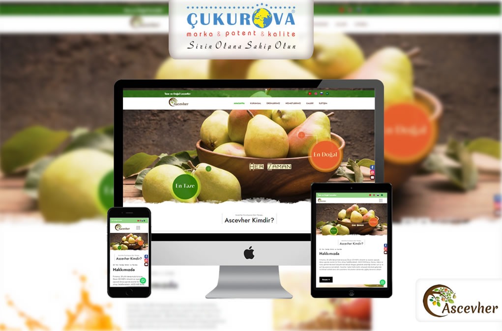 Hatay Web Tasarım Referansları – ASCEVHER KURUMSAL SİTE