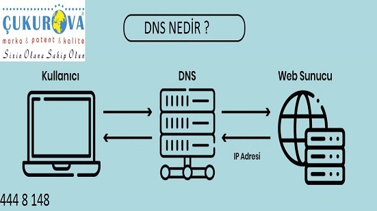 DNS Nedir ?