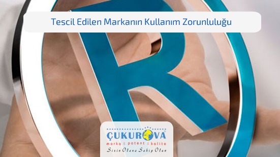 Tescil Edilen Markanın Kullanım Zorunluluğu