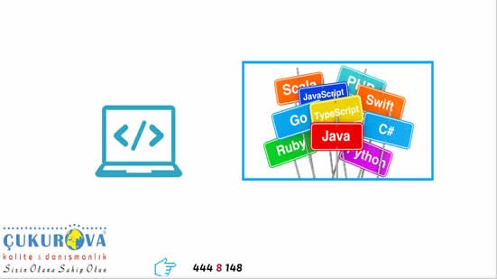 Web Sitesi Yapımında Kullanılan Diller Nelerdir ?