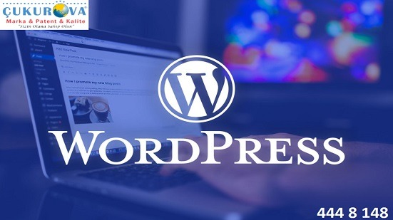 WordPress Nedir ?